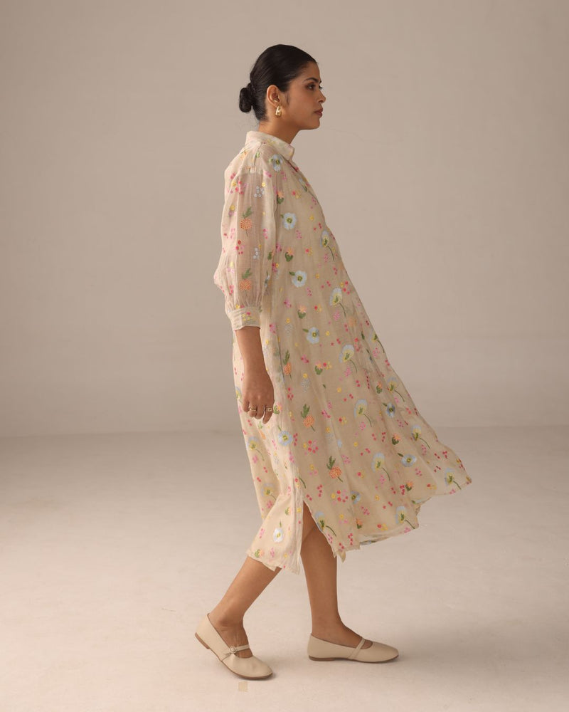 Iris breeze (Beige )